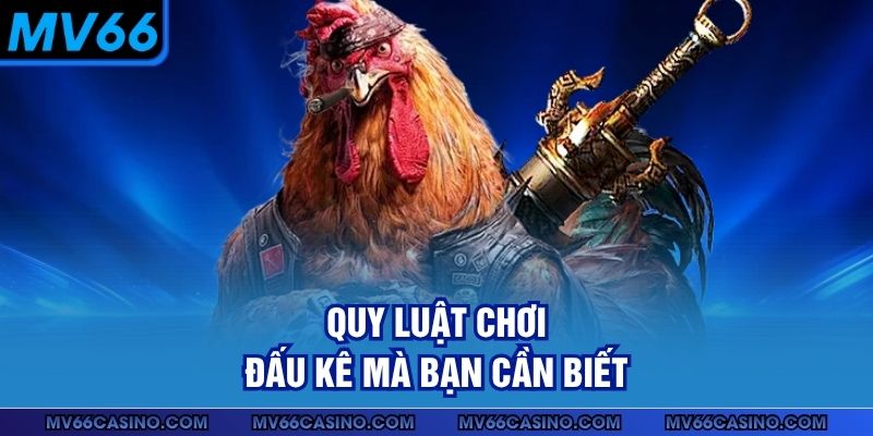 Quy luật chơi đấu kê mà bạn cần biết Quy luật chơi đấu kê mà bạn cần biết